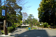 木場公園